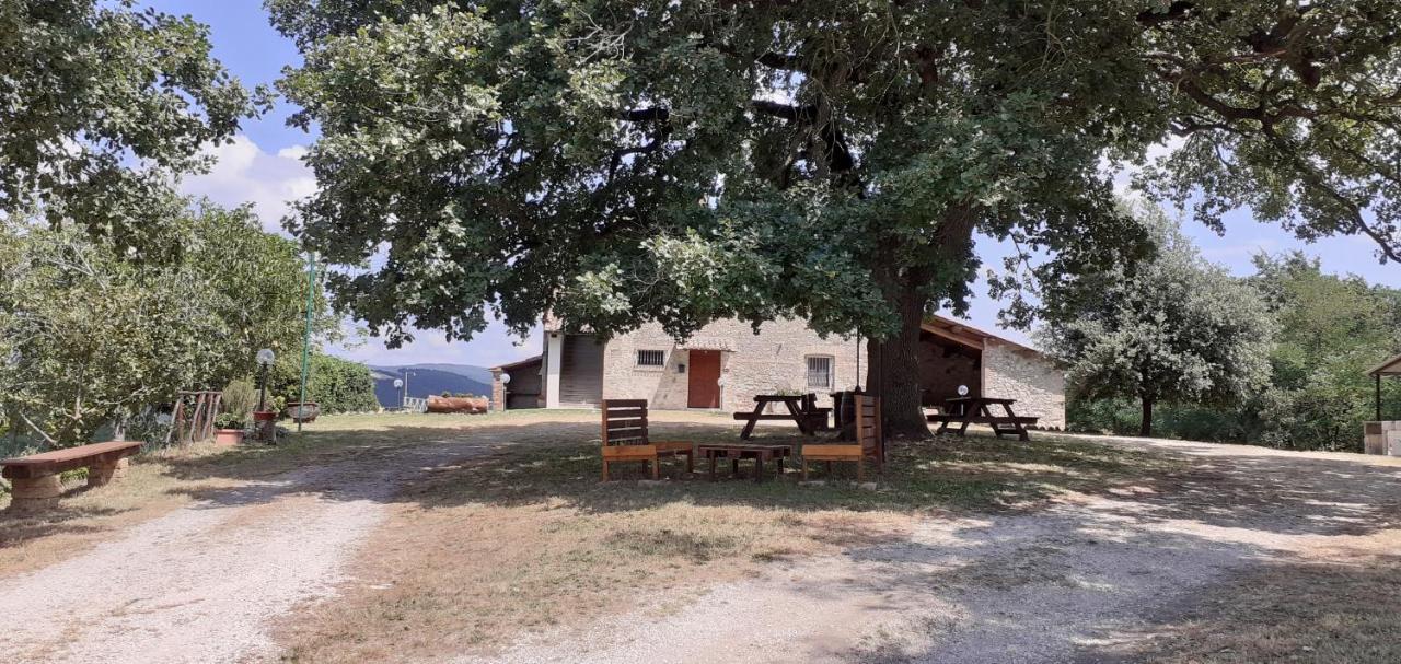 Casale Al Lago Con Piscina E Sauna Corbara  Exterior photo