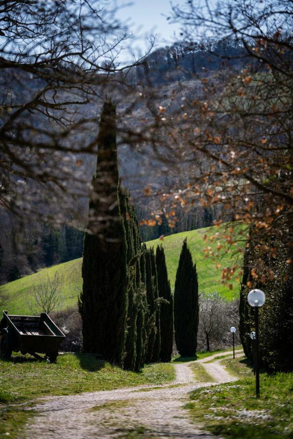 Casale Al Lago Con Piscina E Sauna Corbara  Exterior photo