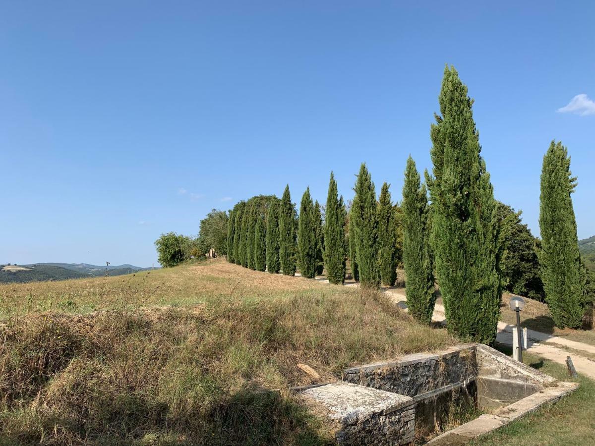 Casale Al Lago Con Piscina E Sauna Corbara  Exterior photo