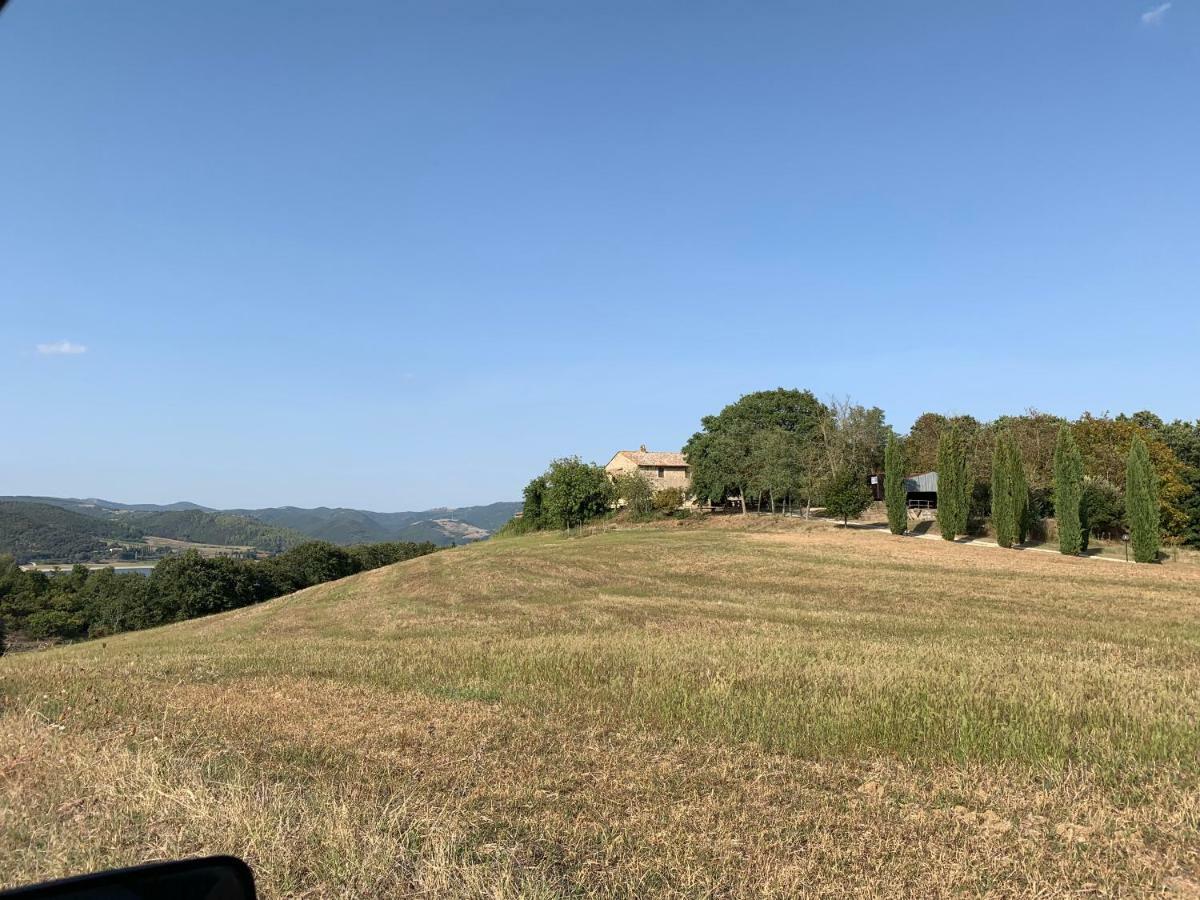 Casale Al Lago Con Piscina E Sauna Corbara  Exterior photo
