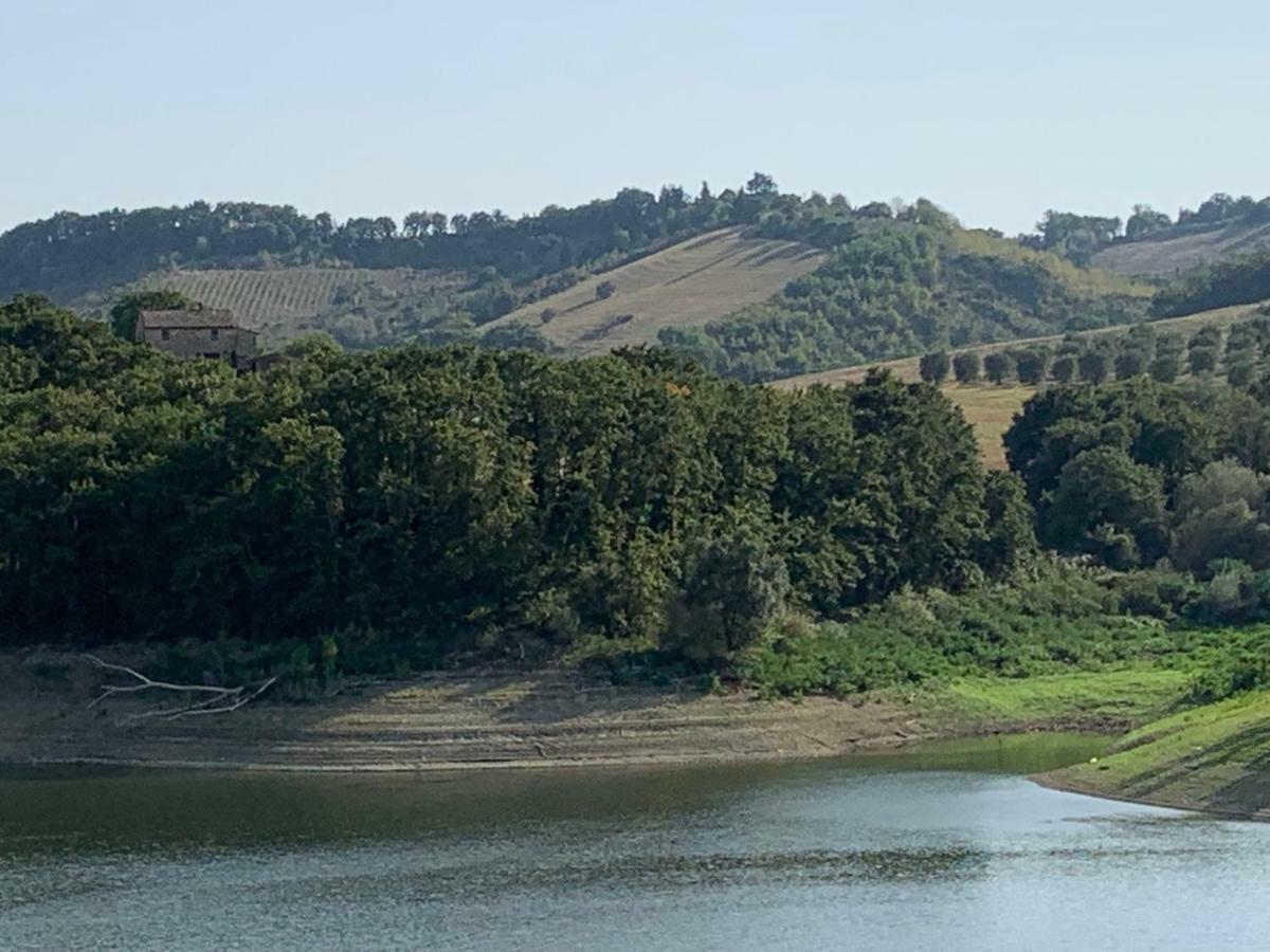 Casale Al Lago Con Piscina E Sauna Corbara  Exterior photo